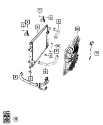 Radiator Outlet Hose - Mopar (55038161AD)